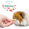 Oxbow Digestive Health Tablets for Rabbits & Guinea Pigs – High Fiber-3
