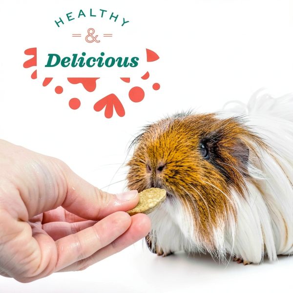 Oxbow Digestive Health Tablets for Rabbits & Guinea Pigs – High Fiber-3