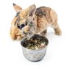 Rabbit Food Vitakraft Menu Blend 12.5x11x5in Fresh Variety Pack-3